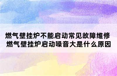 燃气壁挂炉不能启动常见故障维修 燃气壁挂炉启动噪音大是什么原因